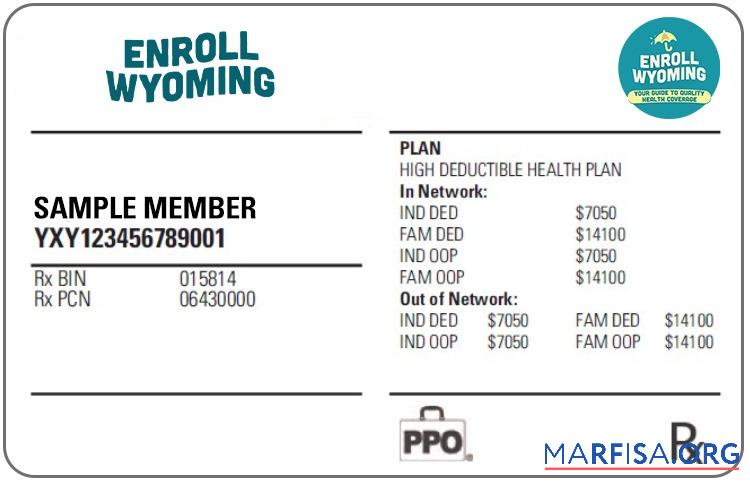 Realistic Wyoming health insurance card template